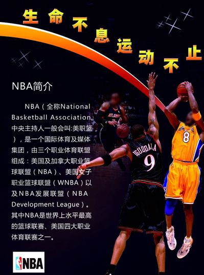 是否引导理